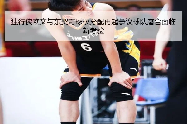 独行侠欧文与东契奇球权分配再起争议球队磨合面临新考验